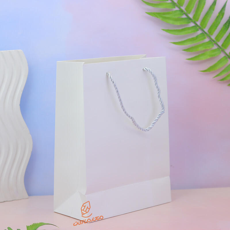 بگ کادویی رنگی ساده 1911-5 (1).jpg