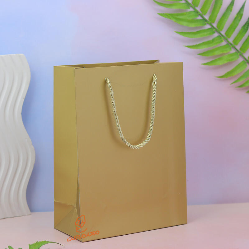 بگ کادویی رنگی ساده 1911-5 (5).jpg