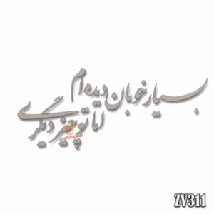 حروف کالیگرافی "بسیار خوبان دیده ام ام تو چیز دیگری"(ZV311)