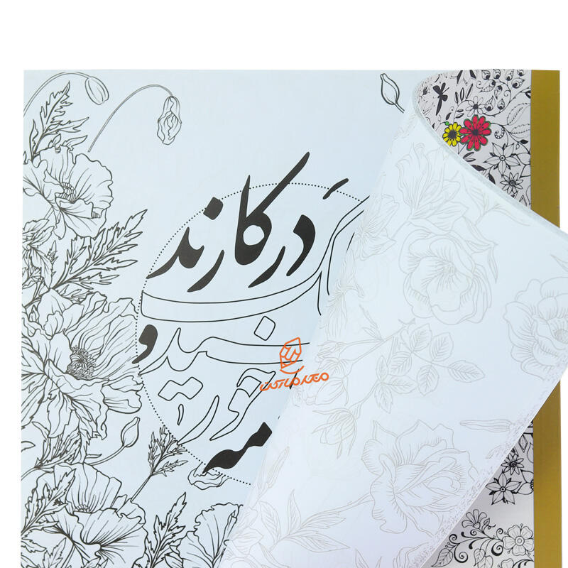 کتاب رنگ آمیزی با خط و نقاشی گلستان جانان (اشعار سعدی) (1).jpg