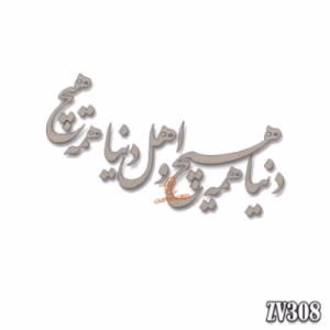 حروف کالیگرافی "دنیا همه هیچ و اهل دنیا همه هیچ"(ZV308)