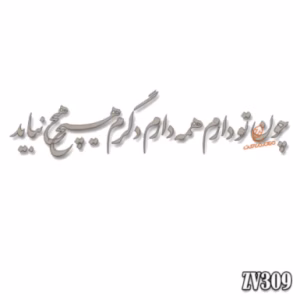 حروف کالیگرافی "چون تو دارم همه دارم دگرم هیچ نباید"(ZV309)