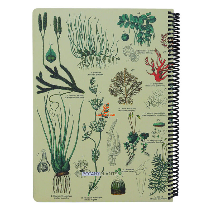 دفتر 100 برگ رحلی طرح BOTANY PLANTS دات نوت DOT NOTE (2).jpg