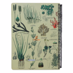دفتر 100 برگ رحلی طرح BOTANY PLANTS دات نوت DOT NOTE