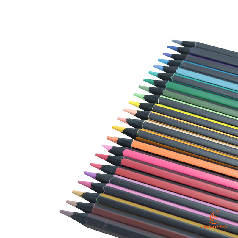 مداد رنگی 24 رنگ مدل بلک وود جعبه مقوایی کویلو QUILO (4).JPG