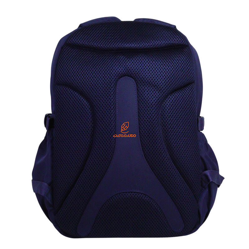 کوله پشتی تحصیلی مدل هیکو NTLB 675 - BLU نیلپر توریستر (3).jpg