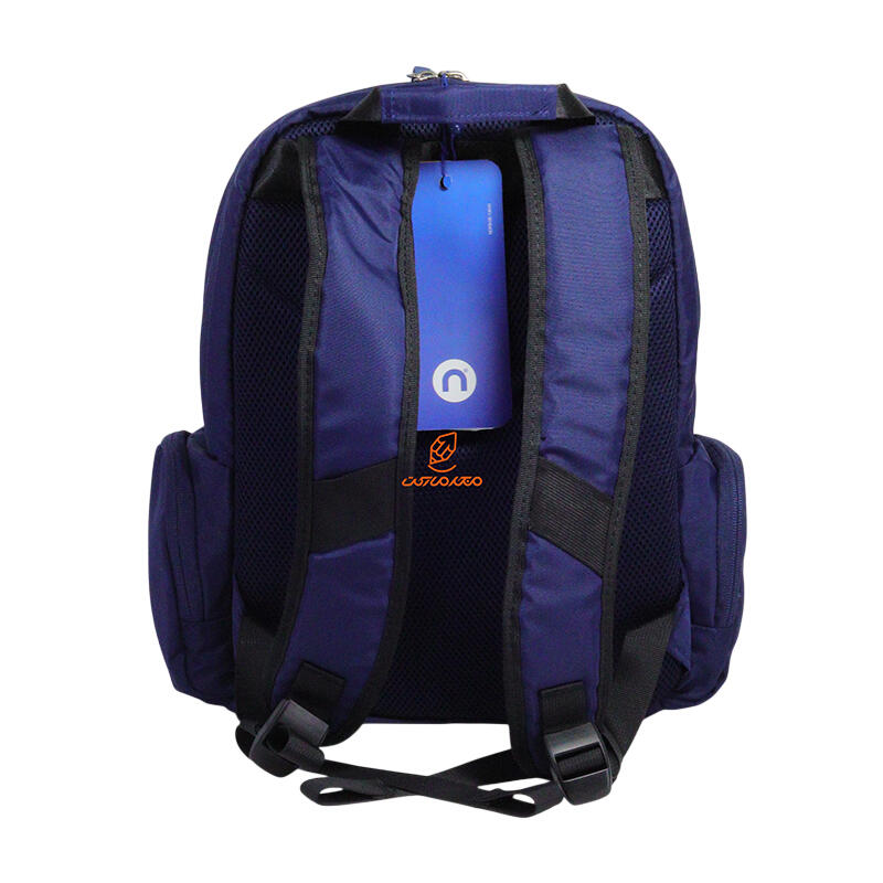 کوله پشتی تحصیلی مدل ایرکا NTLB 676 - BLU نیلپر توریستر (4).jpg