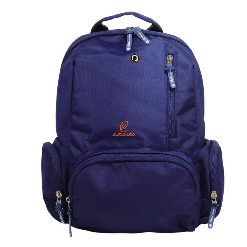 کوله پشتی تحصیلی مدل ایرکا NTLB 676 - BLU نیلپر توریستر