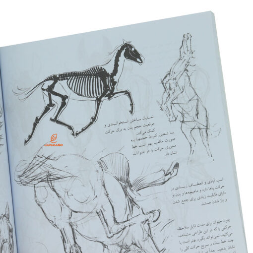 کتاب طراحی از حیوانات