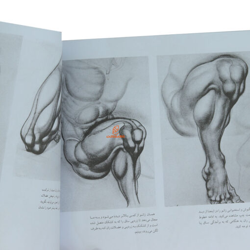 کتاب طراحی بدن انسان