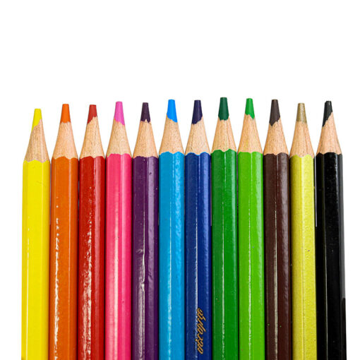 مداد رنگی 12 رنگ جعبه مقوایی الیگیتور Aligator