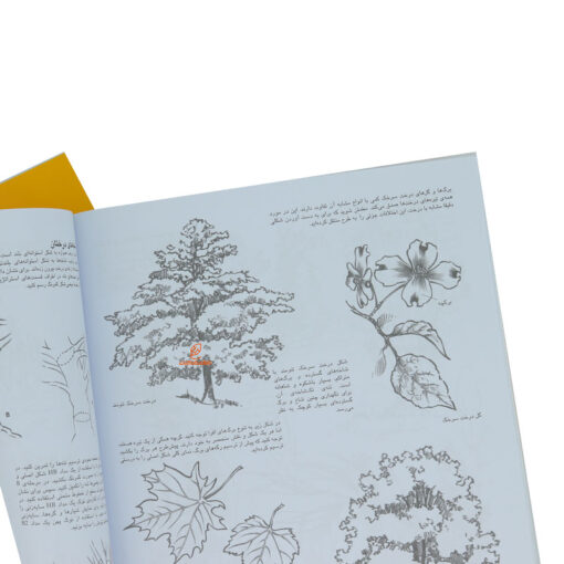 کتاب طراحی قدم به قدم درختان