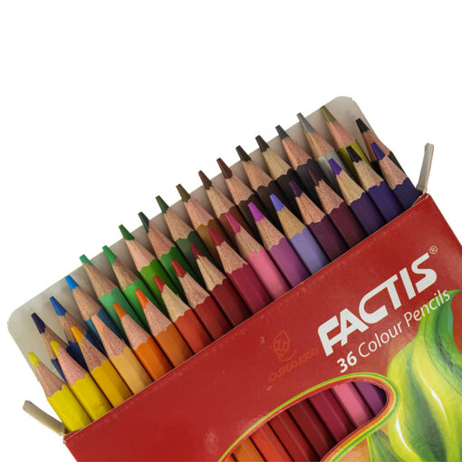 مداد رنگی 36 رنگ جعبه مقوایی طرح دختر جنگلی فکتیس Factis