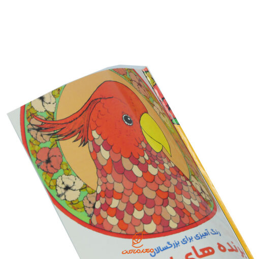 کتاب رنگ آمیزی برای بزرگسالان پرنده های زینتی